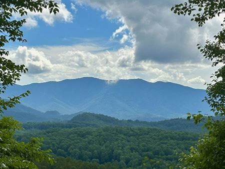 Preview of Unassigned space for Sale at 65 Blue Ridge Gem Mine Road