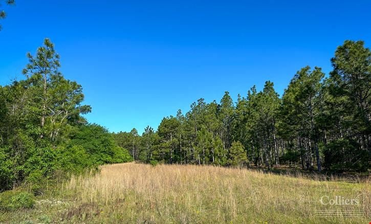 ±108-Acre Timber & Recreational Tract | Edmund, SC