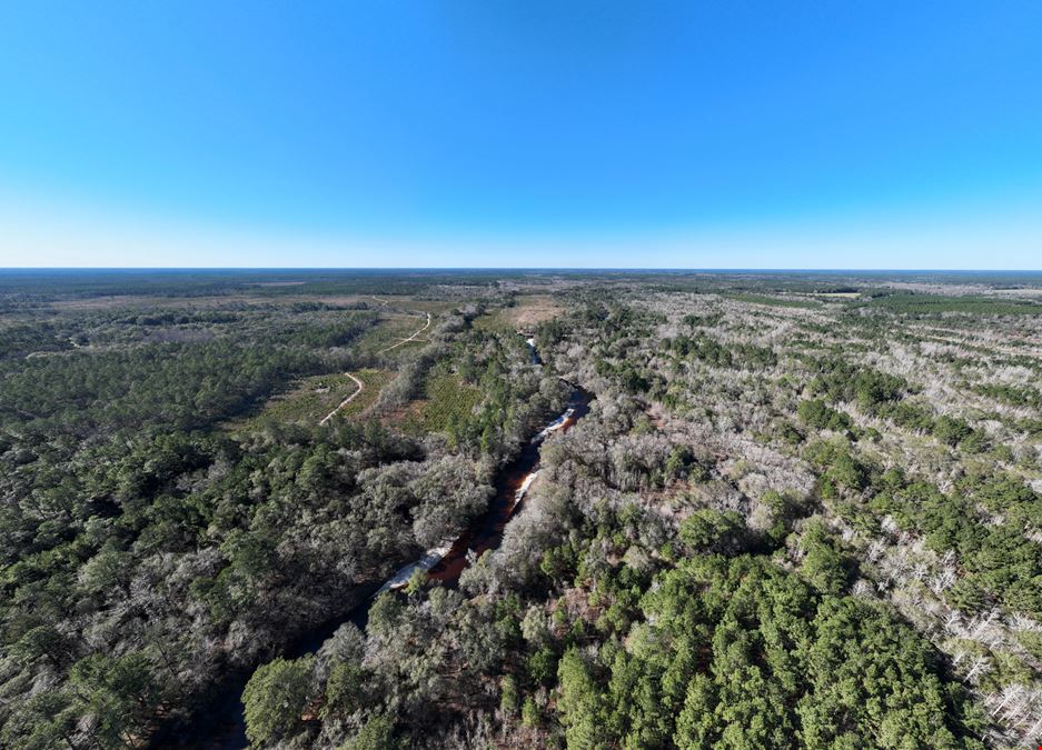 1,142 Acres In Ware County