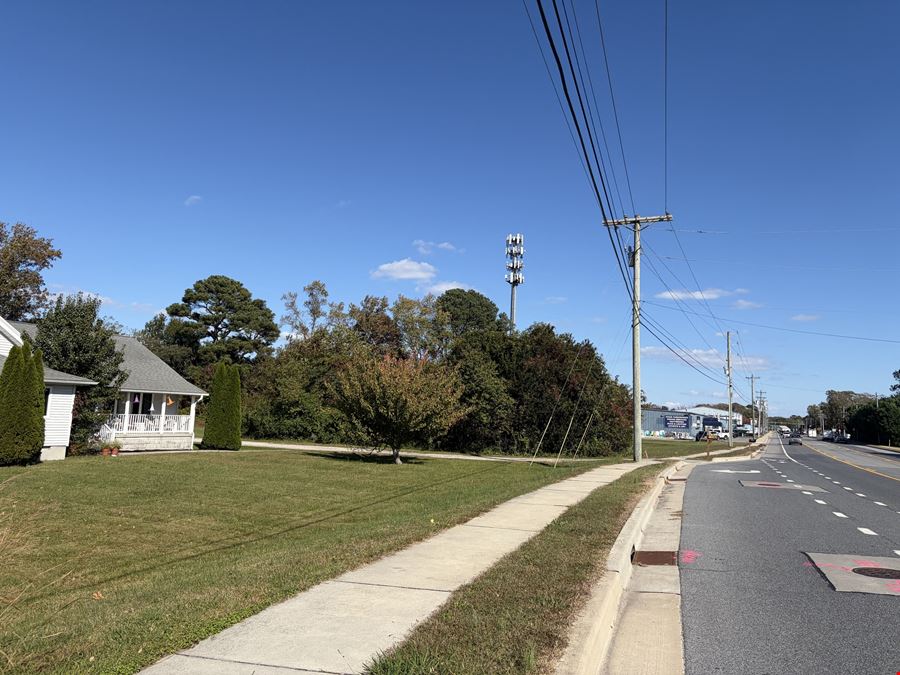 36487 & 36493 Lighthouse Road