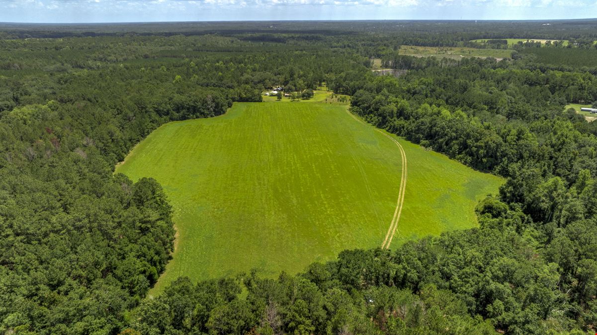Beasley Homeplace 'Tract 1B'