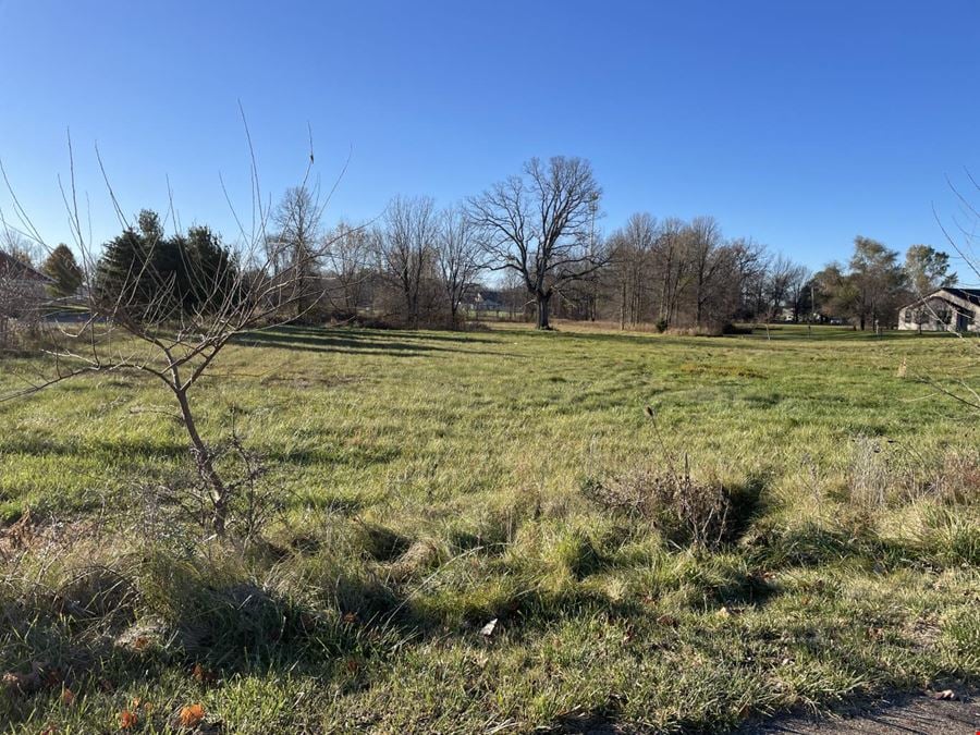 Vacant Commercial Land - Eaton Rapids 
