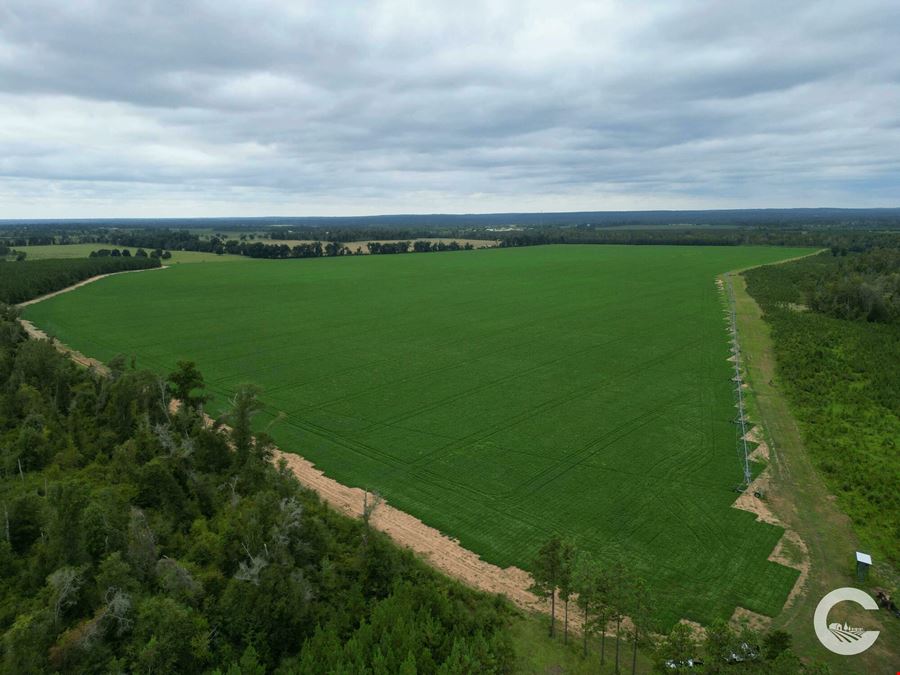 385 +/- Acre Rocky Creek Tract in Marianna, FL