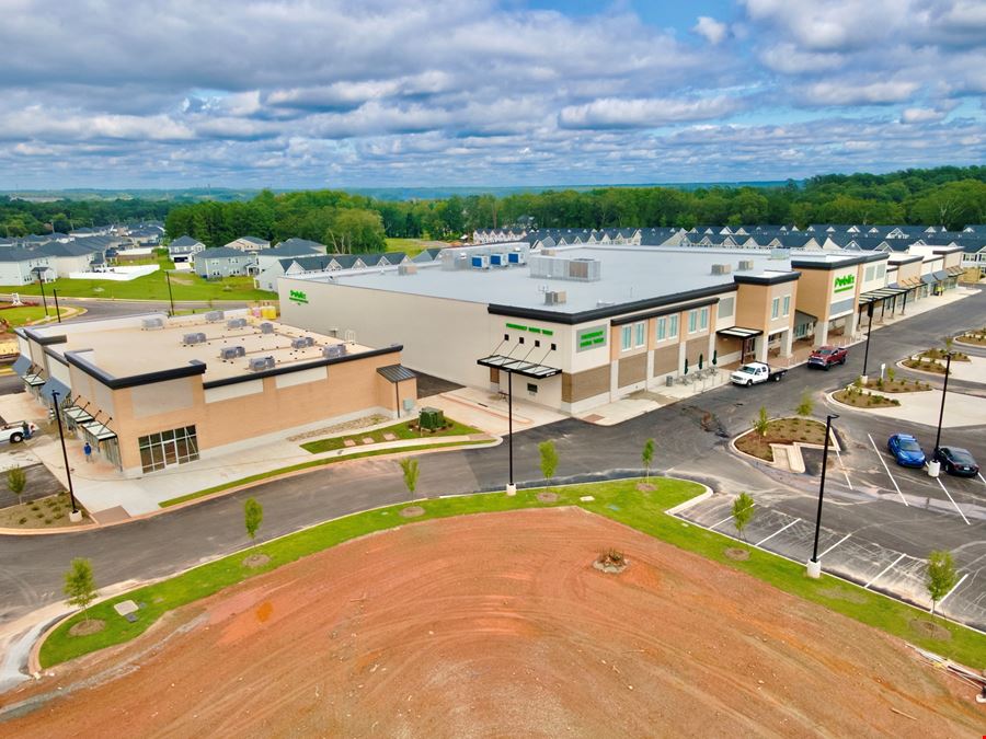 Publix-anchored Shopping Center