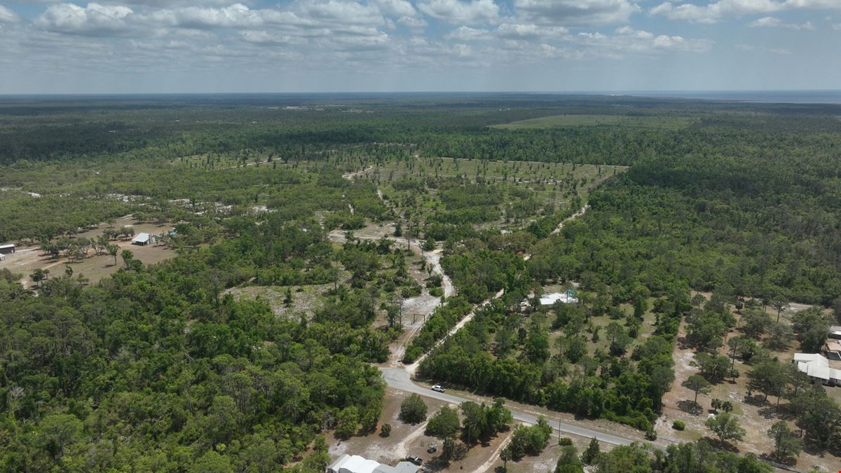 Spring Warrior Cove
