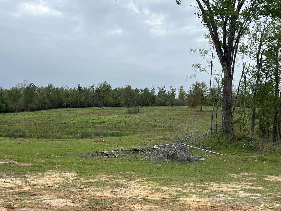 23.87 ± Acre Development Land - Marianna, FL