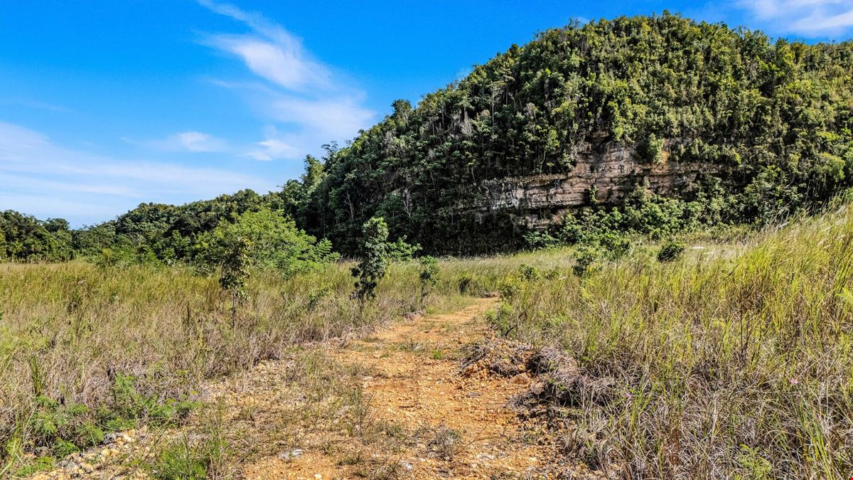 73 Developable Acres in Dorado - For Sale