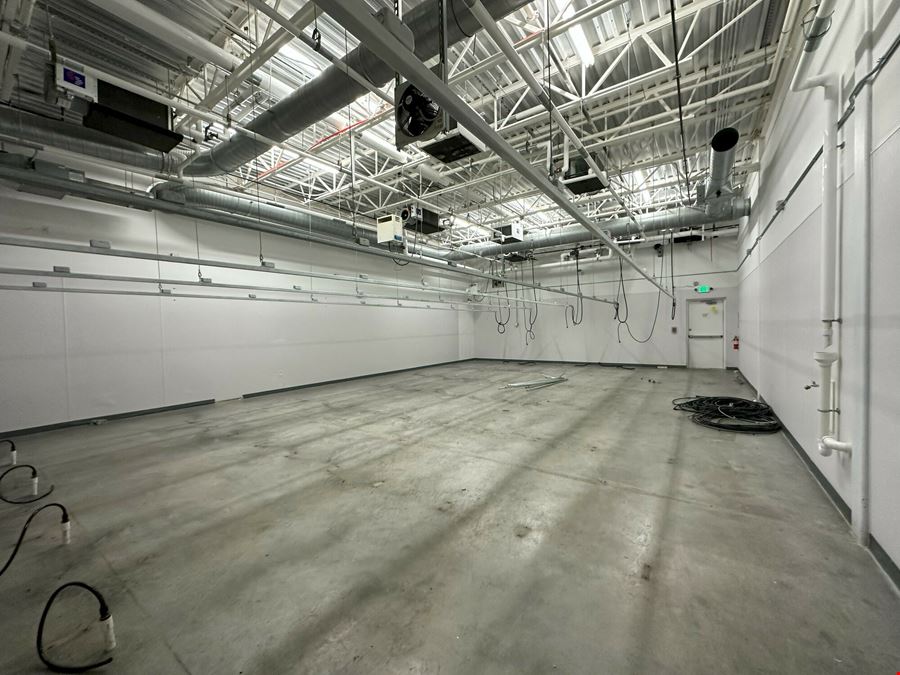 Light Industrial/Flex Building