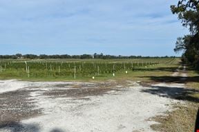 Citrus County Blueberry Farms