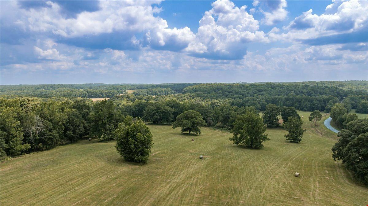 CHANDLER BRIDGE RD 719 ACRES