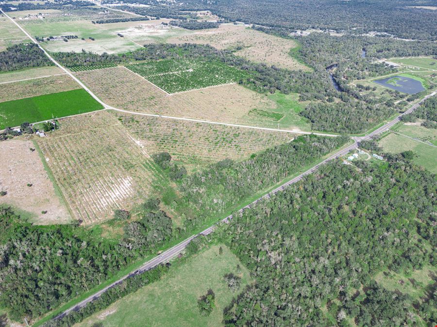 Peace River Mixed-Use Development Tract — 114± Acres | 18± AC Commercial | 2,179' on SR-64