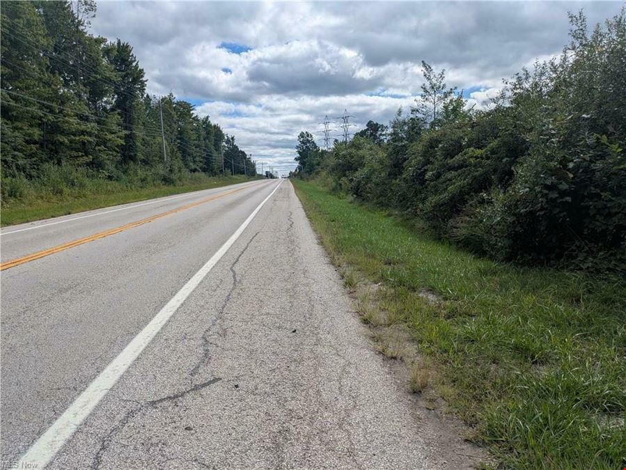 Saybrook I-90 / SR 45 Interchange Commercial Development Site - 36 acres Vacant Land