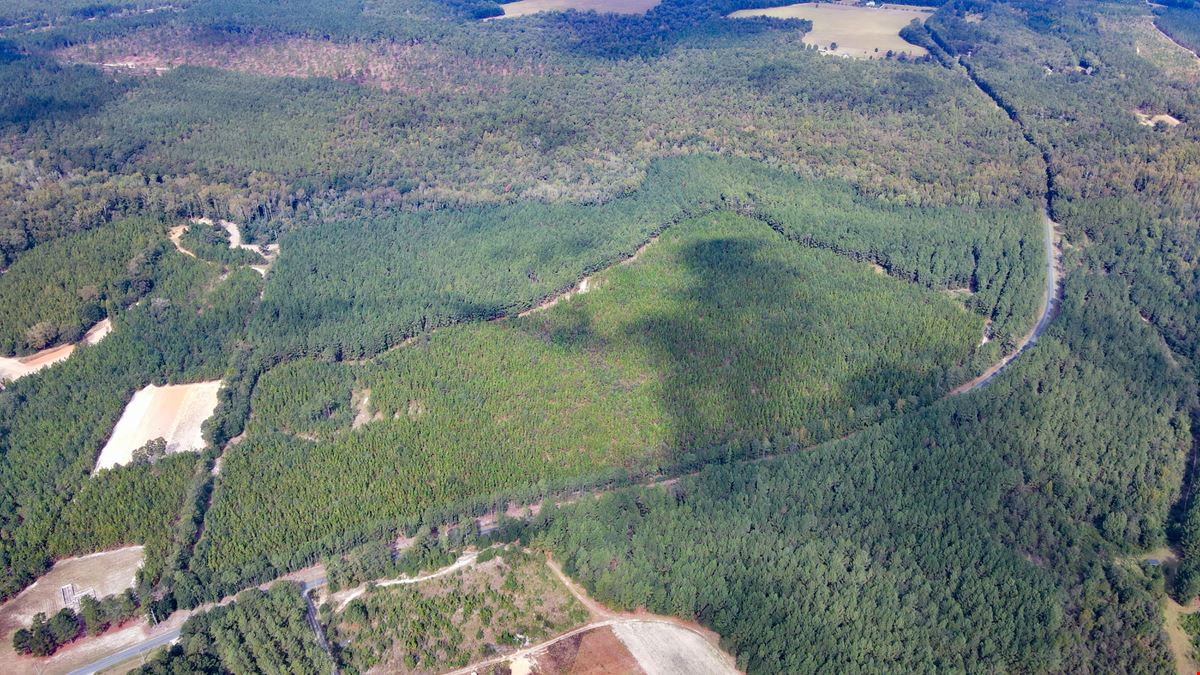 Timber & Recreation Tract