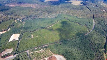 Preview of VacantLand space for Sale at TBD Mt Beulah Rd
