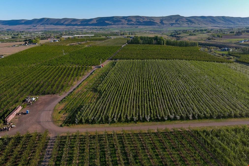 Benton Acord Orchard