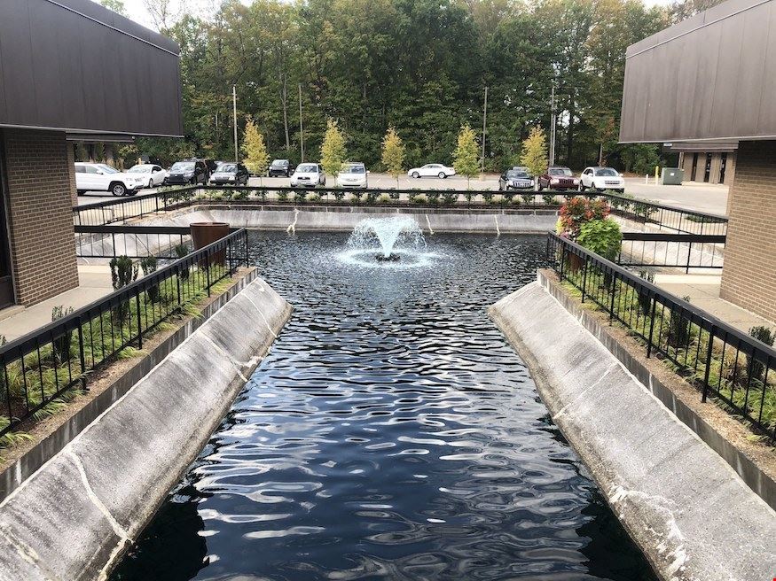 Binford Commons