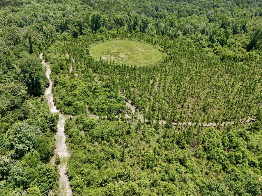 Cowpen Hunting Tract