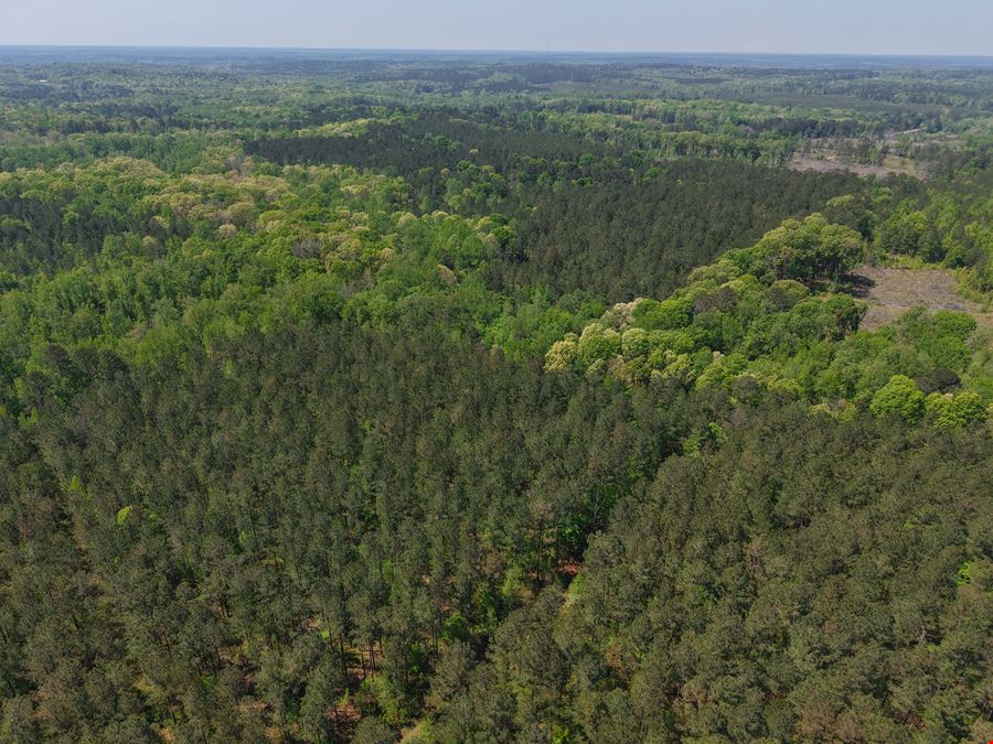 225.48 Acres - Picketts Bridge Estates