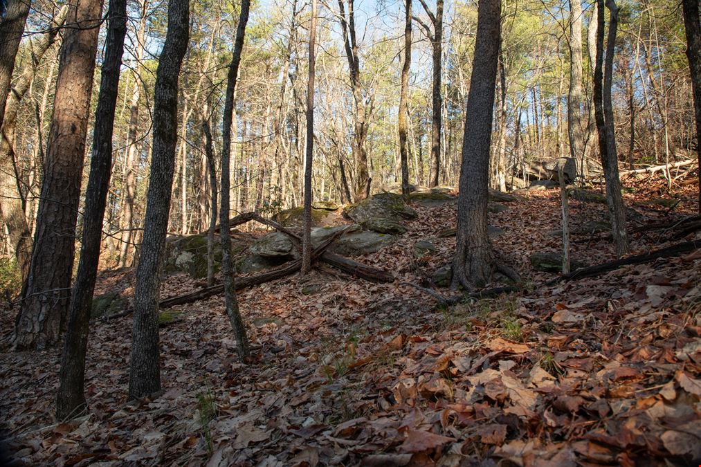 Smeltzer Mountain Road Tract One