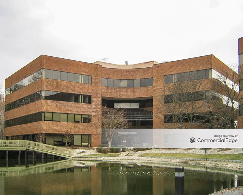 Tysons Pond I