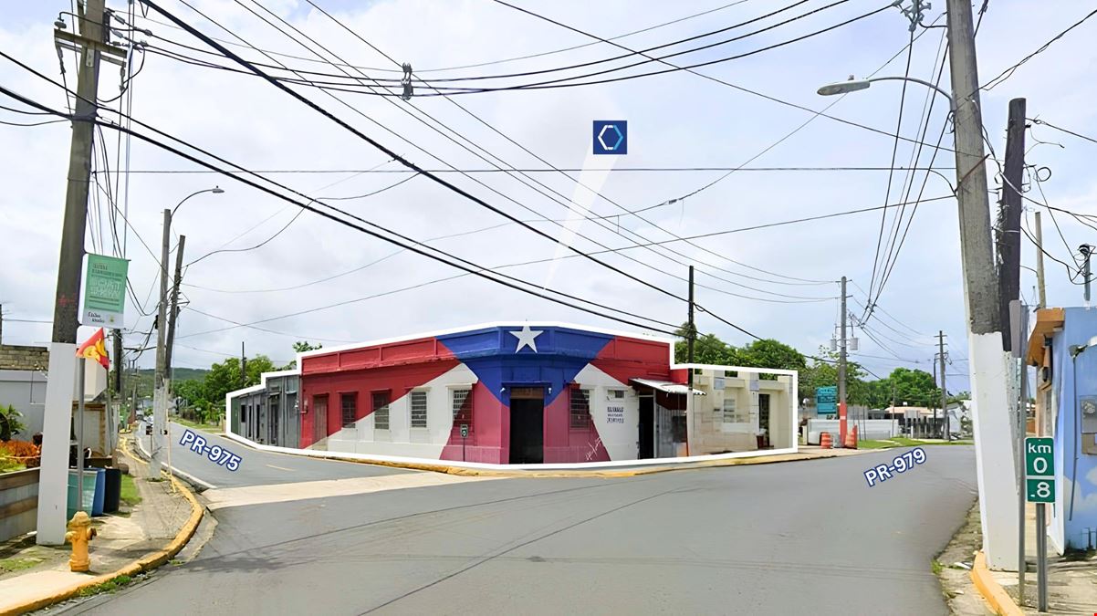 Strategic Opportunity @ Corner Commercial Lot in Ceiba, PR - For Lease