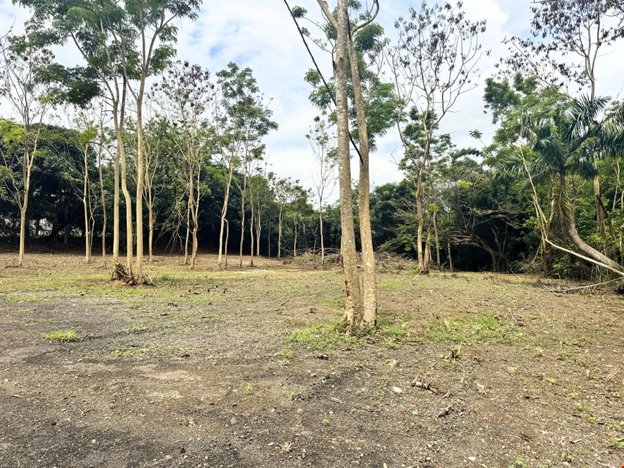 Outdoor Storage Lease Opportunity - Off Martinez Nadal Expressway @ Guaynabo