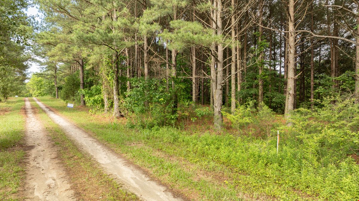 Bush River Ranch | Lot 38