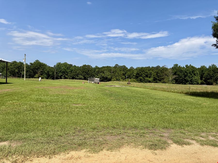 South Butler Springs Mini Farm
