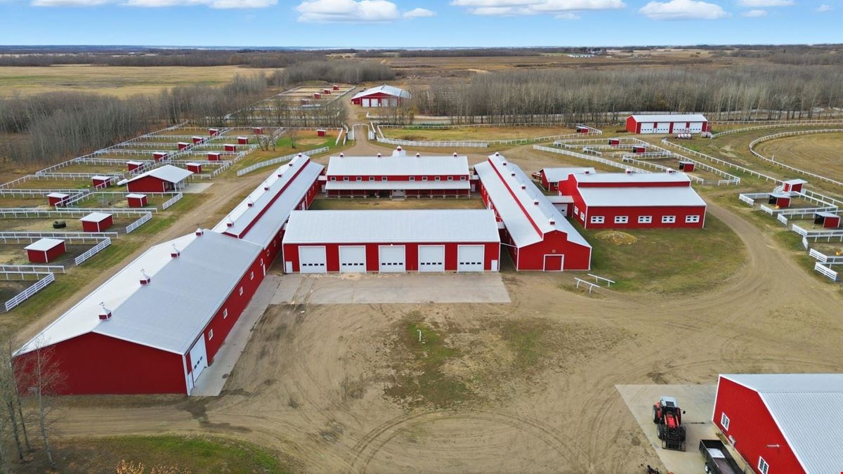 World-Class Equestrian in Central Alberta (Canada)