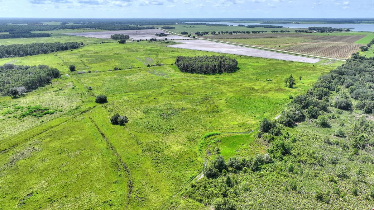 Osceola County Hunting & Recreational Tract