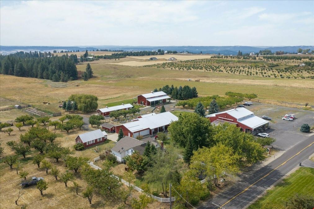 High Country Orchard