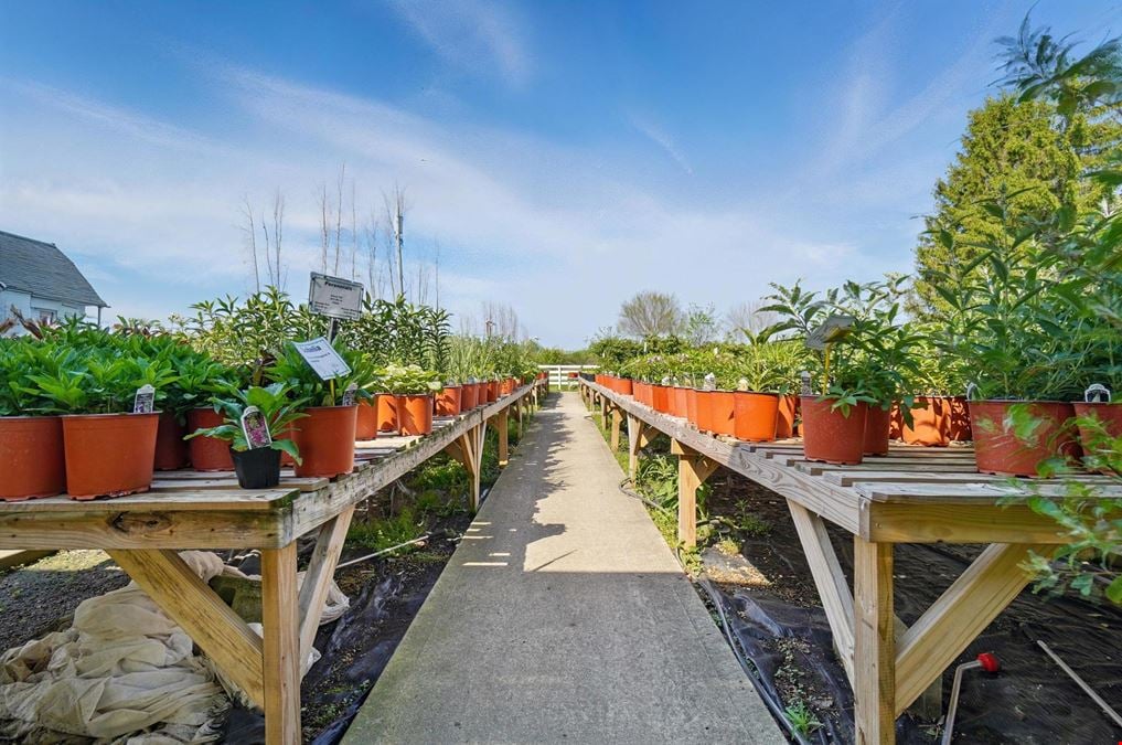 Robin's Nursery & Greenhouse