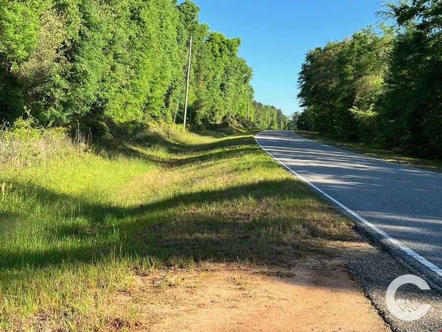 21.97 Acres of Versatile Land Near Florida & Georgia - Ideal for Homes, Recreation, and Investment