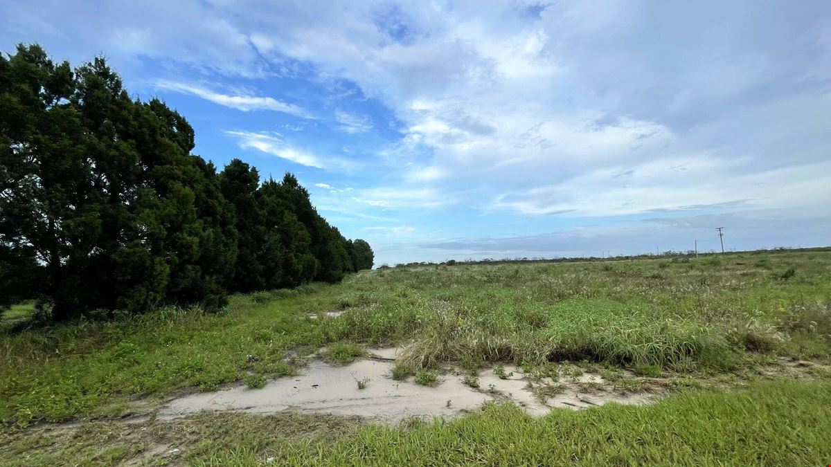 Lake Bella Road Transitional Land