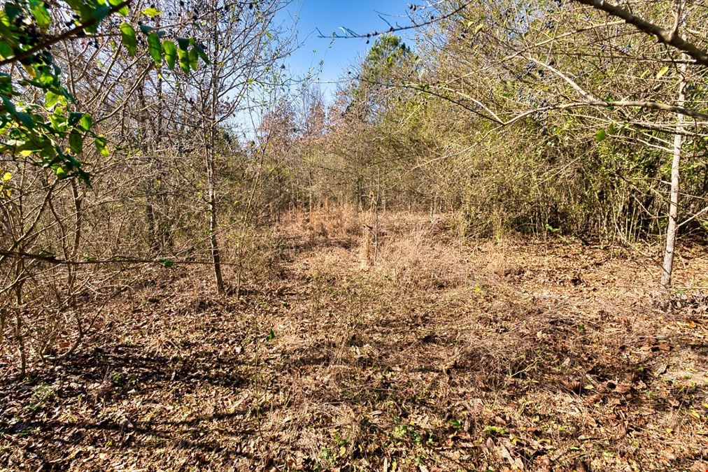2600 Block Park Avenue, Lot 2L, Hot Springs, AR 71901
