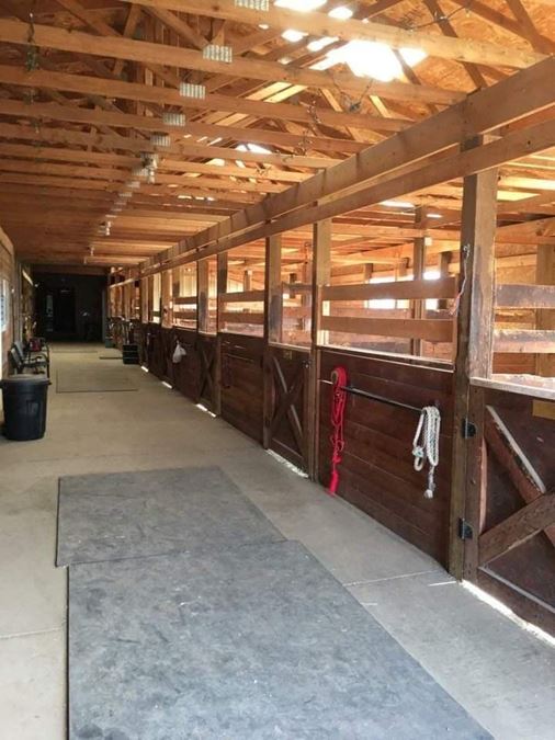 Trickle Creek Stables - Horse Boarding Facility