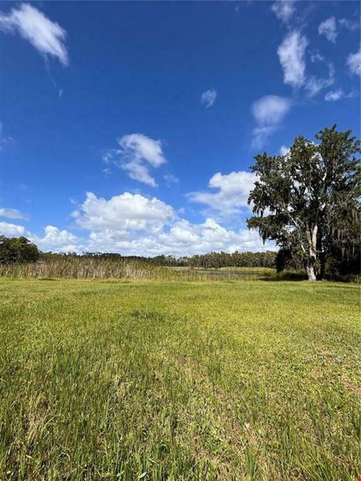 4.7 AC, Multi-Use Development Site, Directly on Van Dyke Rd, Lutz