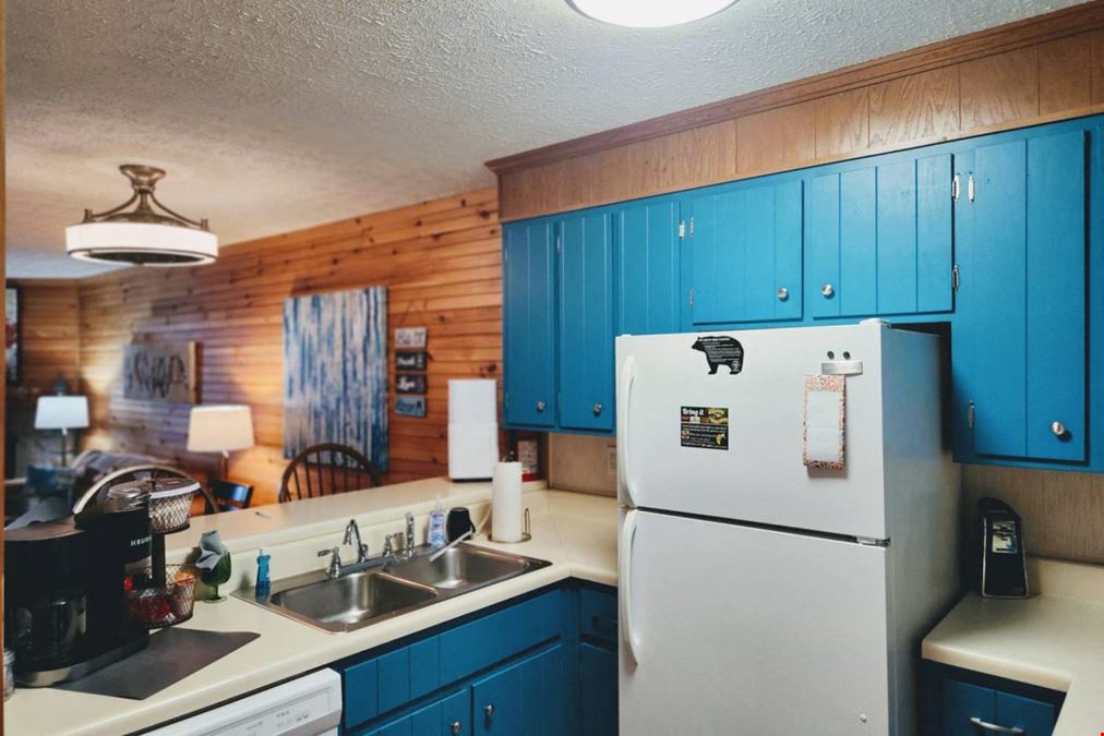 1102 Ski View Dr Unit 208