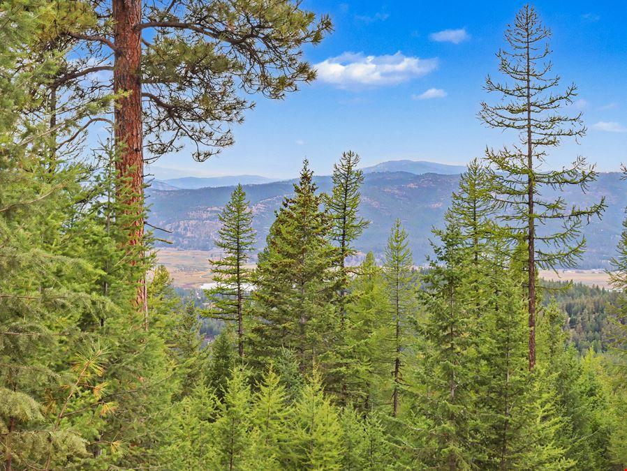 40 Wooded Acres near Kalispell: Classic Montana Forty