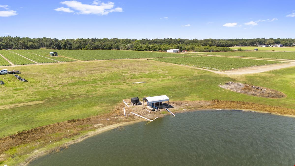 Old Hillsborough Lakefront Development