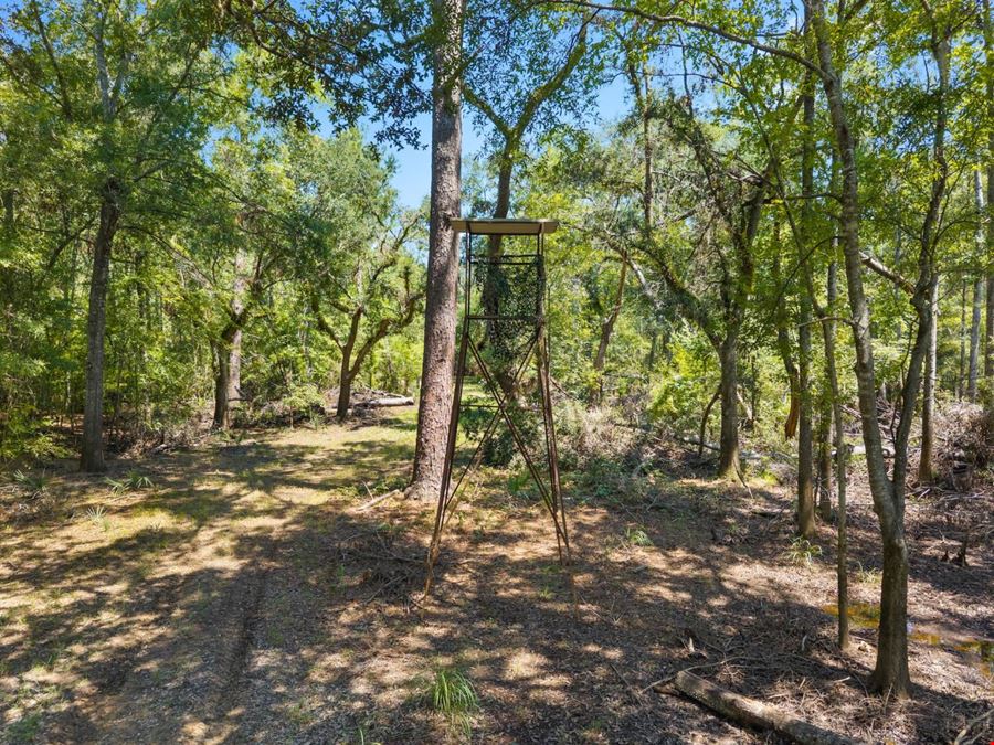 1726 GA Hwy 147