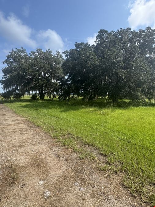 Osceola County Hunting & Recreational Tract