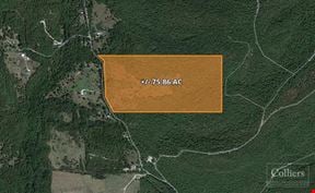 For Sale: 75.86 Acres with +/- 1,400’ Frontage on Wildcat Rd