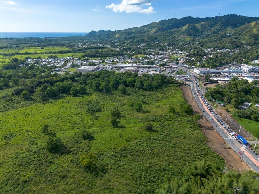 Bo Quebrada Larga, Fincas E y T Anasco