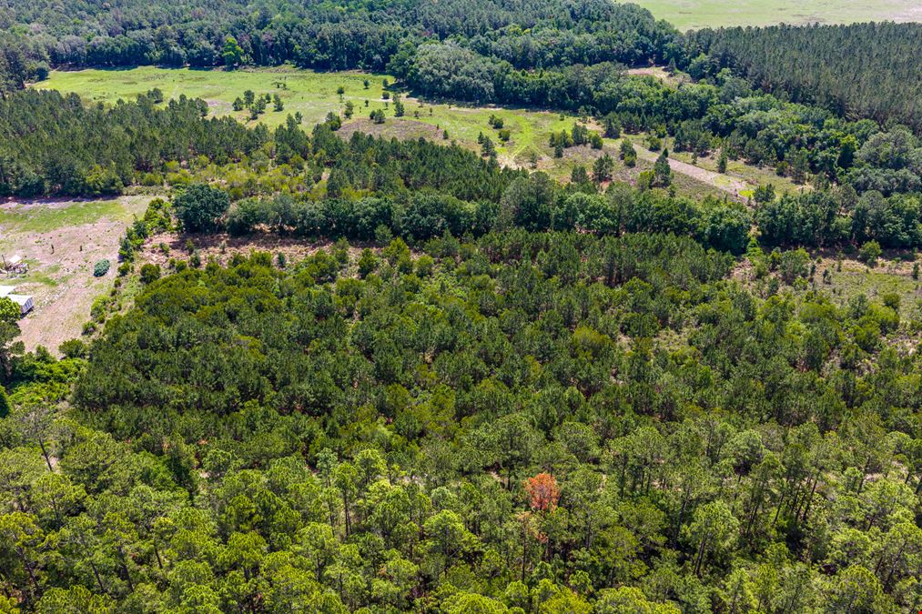 East Alachua County 35 Acre Recreation Tract