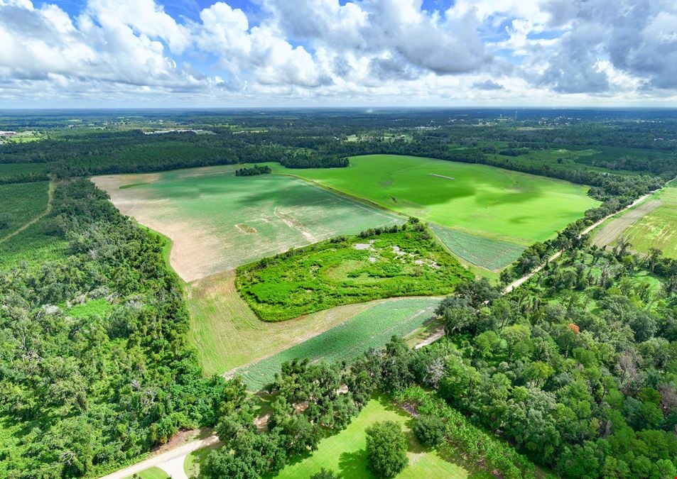 Lake Rachel Ag Land