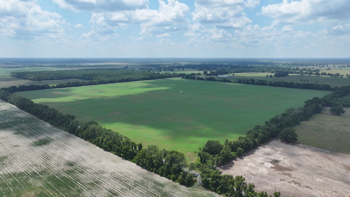 Suwannee County Quarter Section Farm