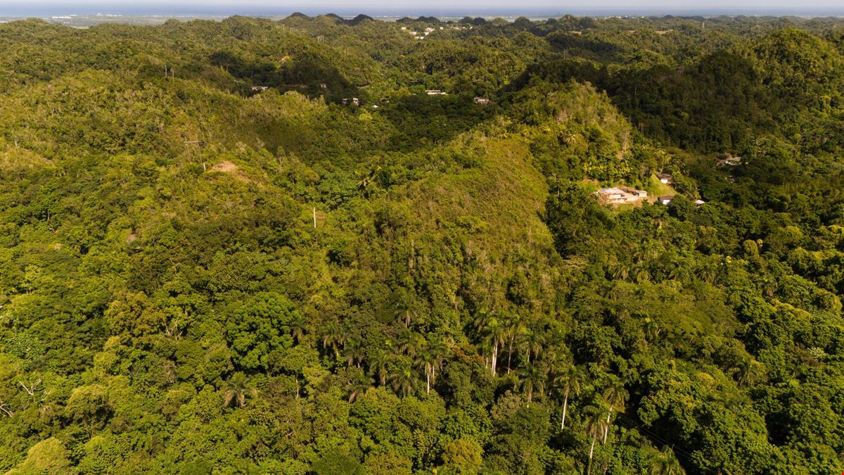 Arecibo Vacant Land @ Arrozal Ward - For Sale
