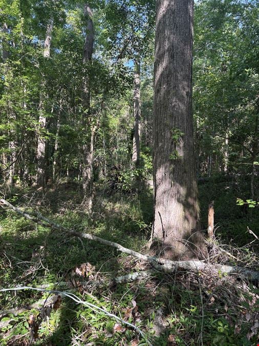 Columbia County Hunting and Recreation
