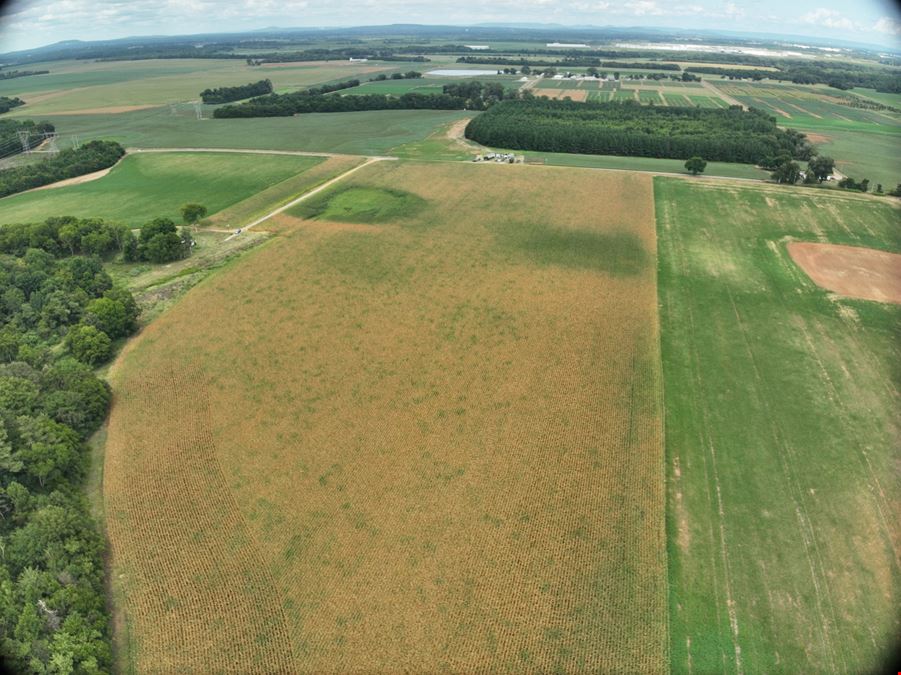 Prime Residential/Commercial Development Land